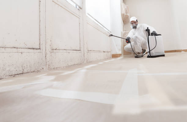 24/7 Emergency Commercial Mold Remediation experts in Grantville, GA