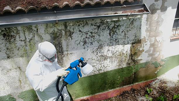 Top rated local Commercial Mold Remediation specialists in Grantville, GA